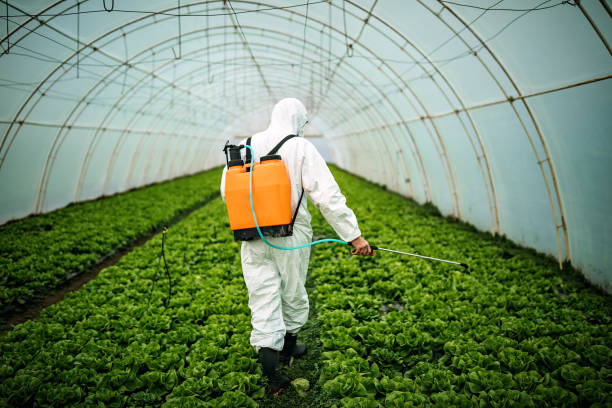 Best Mosquito Control Services  in Des C, AR