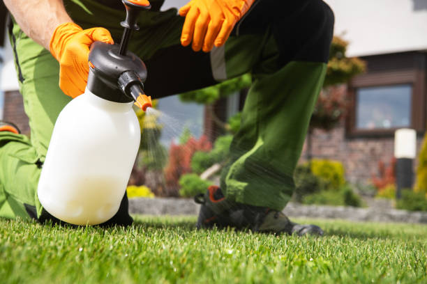 Best Commercial Pest Control Services  in Des C, AR