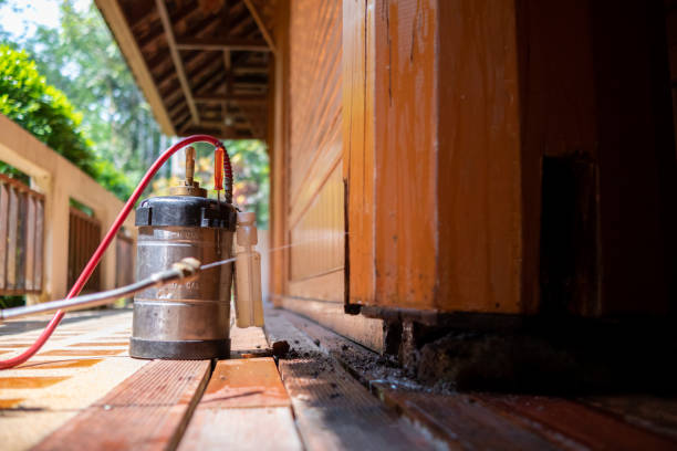 Best Wasp Removal Services  in Des C, AR