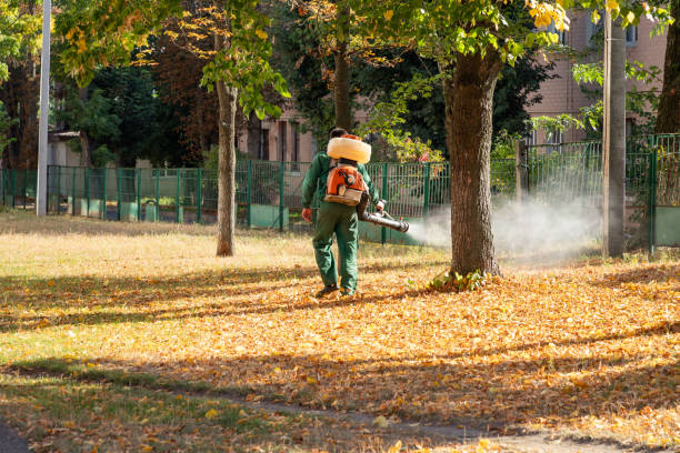 Best Bed Bug Extermination  in Des C, AR
