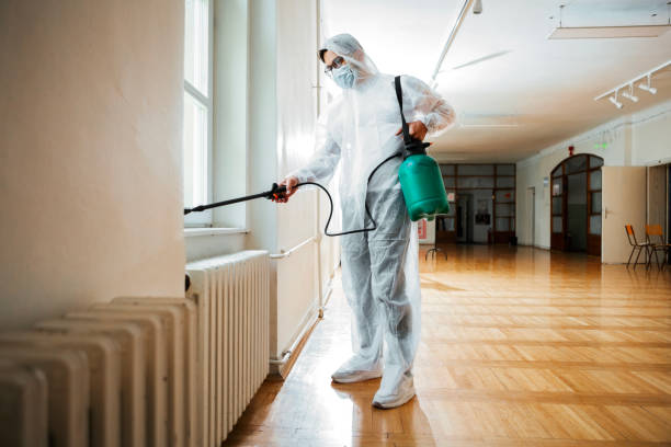 Best Affordable Pest Control Services  in Des C, AR