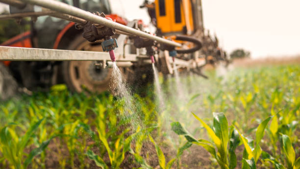 Best Wildlife Control Services  in Des C, AR
